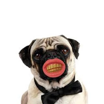 Thumbs Up Pimp Dog Chew