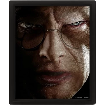 HARRY POTTER (HARRY VS VOLDEMORT) - FRAMED