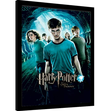 HARRY POTTER (ORDER OF THE PHOENIX) - FRAMED