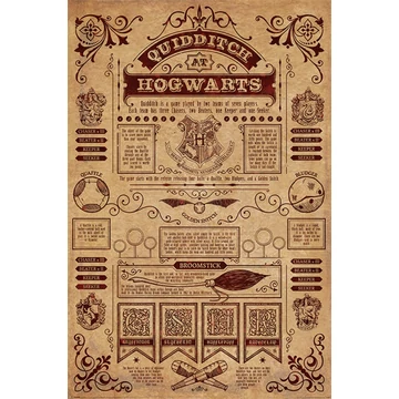Harry Potter (Quidditch at Hogwarts) maxi poszter