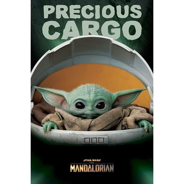 Star Wars: The Mandalorian (Precious cargo) maxi poszter