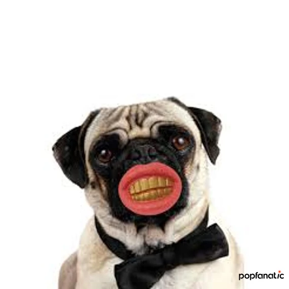 Thumbs Up Pimp Dog Chew