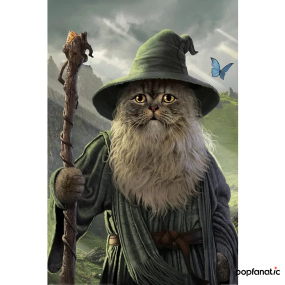 CATDALF - MAXI poszter MAXI poszter