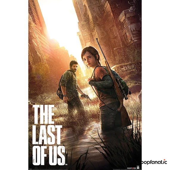 Playstation (The Last Of Us) poszter